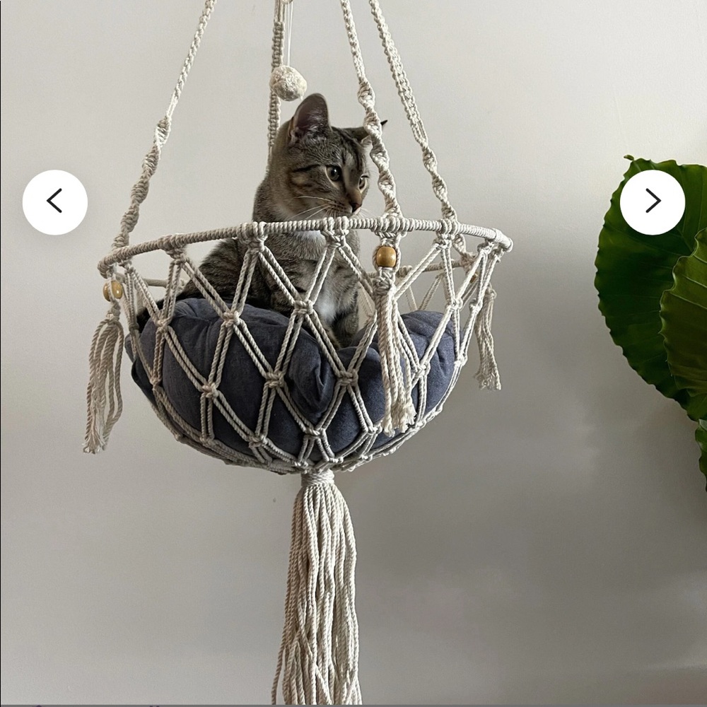 Kitty Hammock